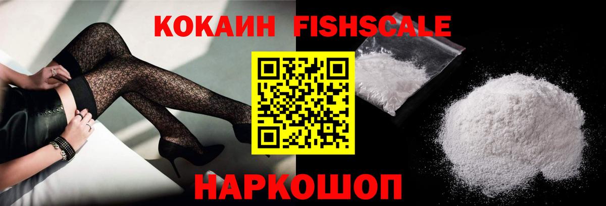 ГАШ Выборг